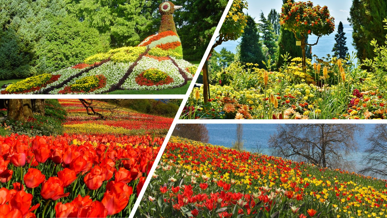 Flower Power Die 11 Blumigsten Orte Europas Travelcircus Urlaubsziele