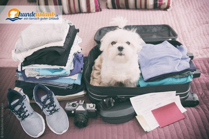Hund sardinien erfahrungen urlaub mit Urlaub mit
