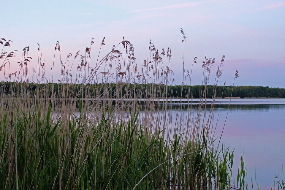Fleesensee Mecklenburg Vorpommern Seenplatte