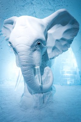 Icehotel Iglu Elefant