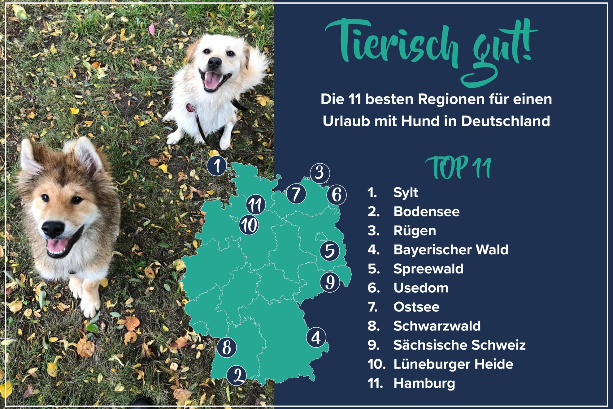 frelsen kontroversiel Økologi Die 11 besten Regionen für einen Urlaub mit Hund in Deutschland -  Travelcircus Urlaubsziele
